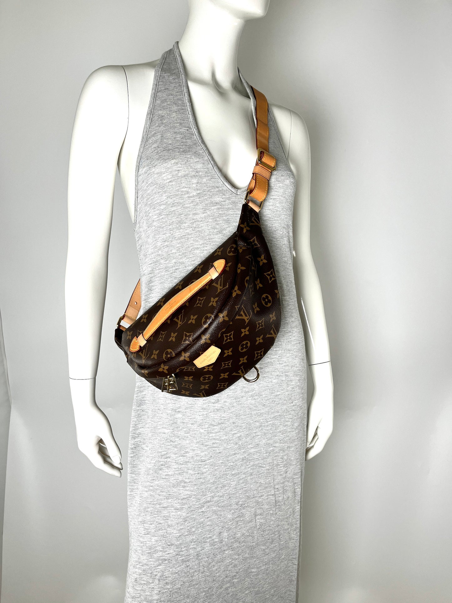 Louis Vuitton Monogram 2020 Bum Bag Waistbag