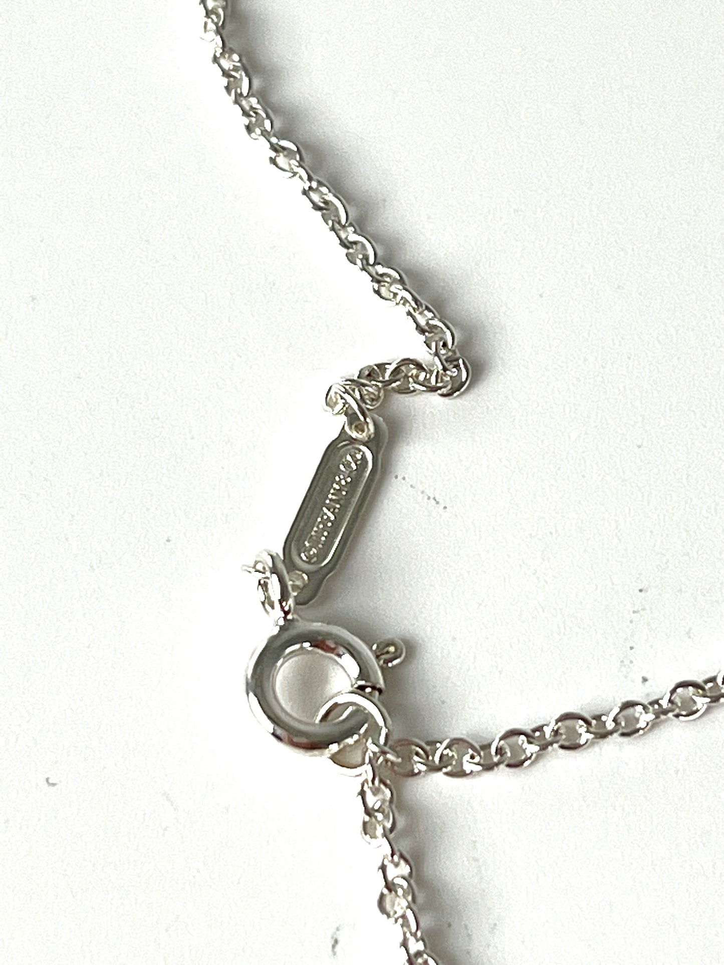 Tiffany & Co Round Zodiac Sagittarius Tag Silver Charm Pendant Necklace