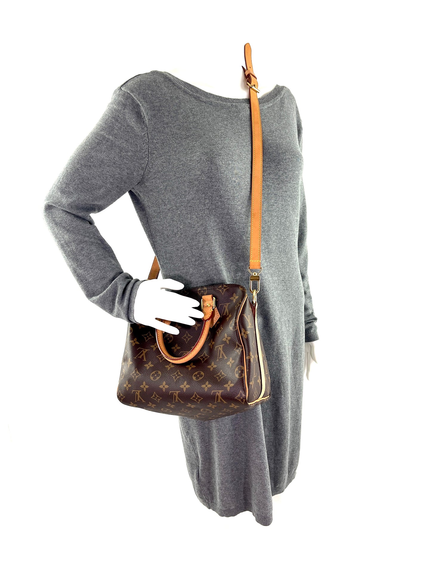 Louis Vuitton Speedy Bandouliere 25 2021 Crossbody Bag