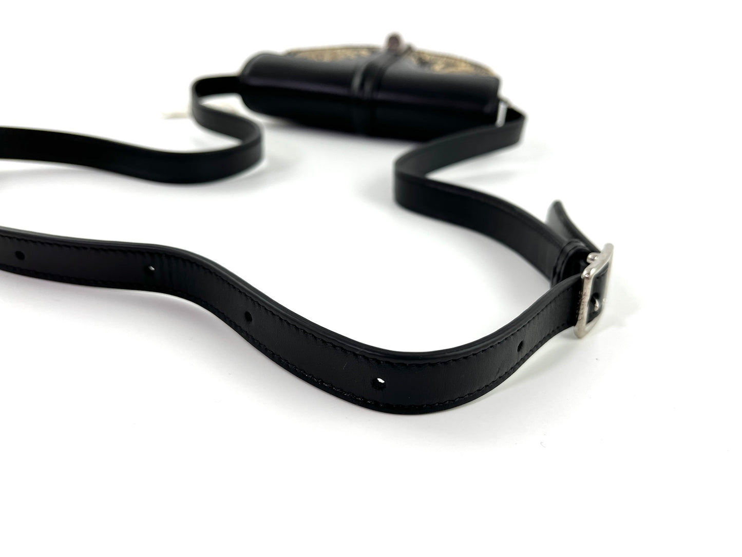 New CELINE Besace 16 Small Smooth Calfskin Snakeskin Crossbody Bag