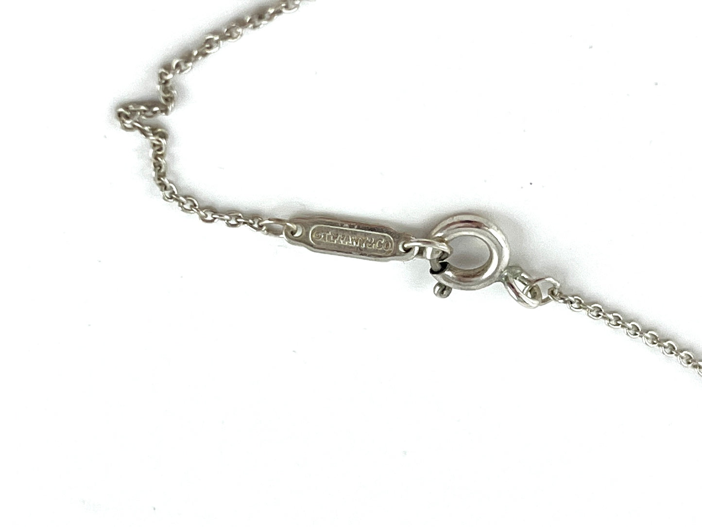 Tiffany & Co Sterling Silver Round Enchant Pendant Necklace