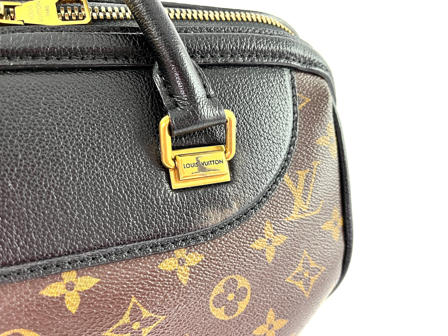 Louis Vuitton Golden Arrow Speedy Monogram Bag