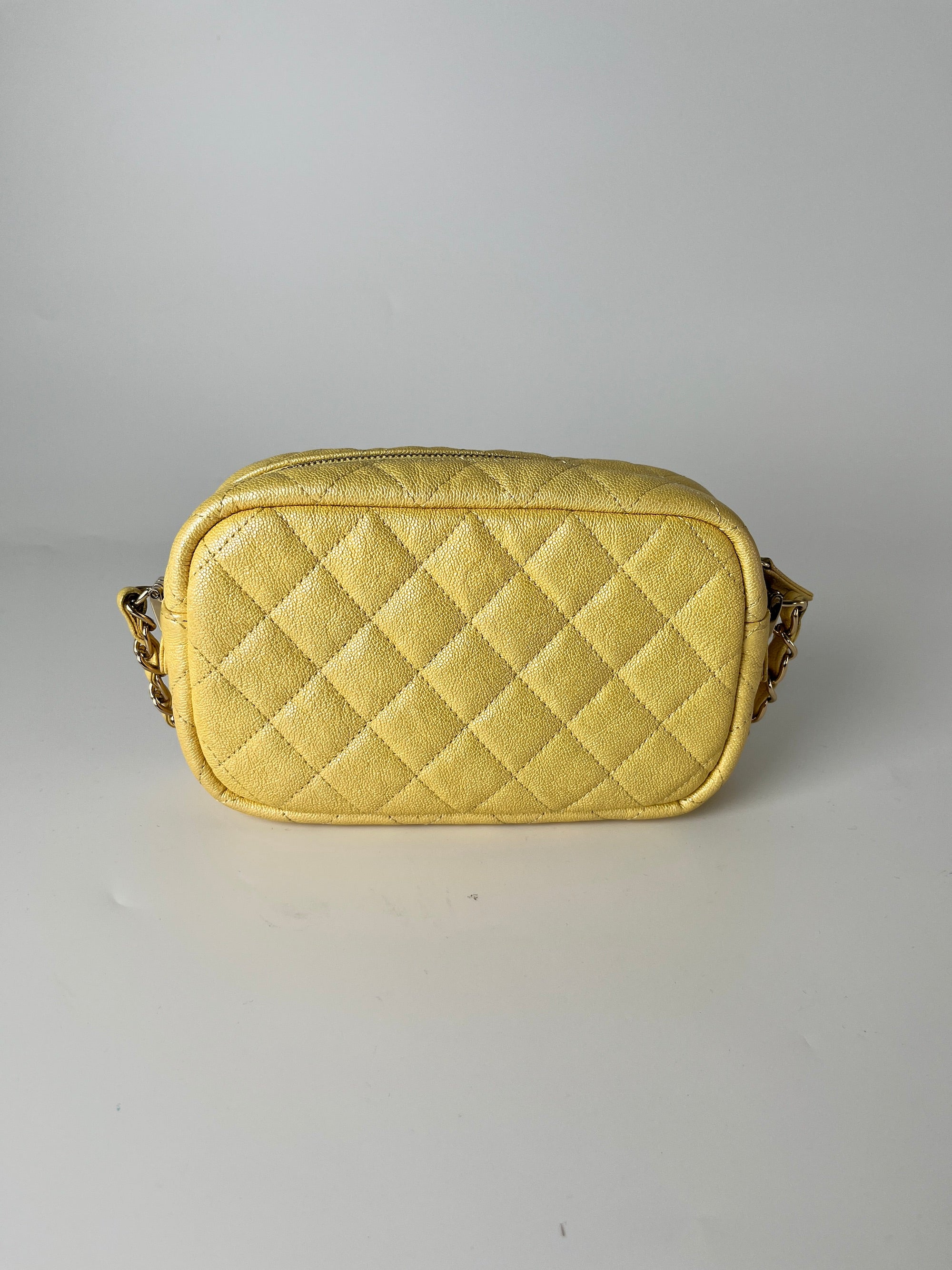 Chanel camera bag caviar online