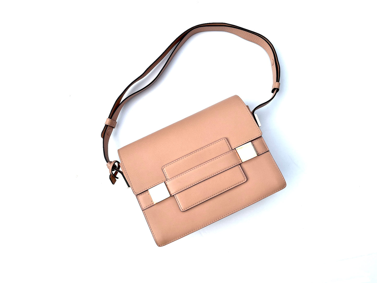 DELVAUX Madame PM Pink Hardware Crossbody Bag